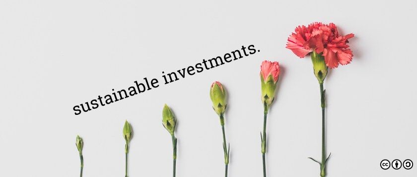 Six flowers of various stages in blooming are arranged in ascending order. The image is captioned, "sustainable investments."