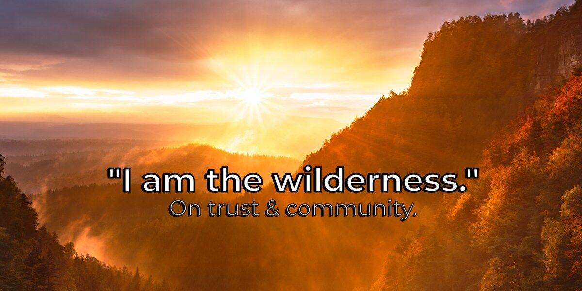 A valley in the mountains is brightened by the sun as it peeks behind the clouds. Vast forests are warmly glowing in the fading sunlight. The image is subtitled, "I am the wilderness: On trust and community."